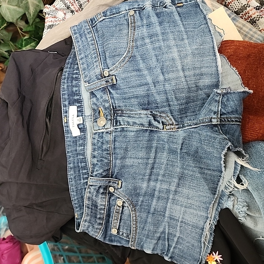Talula Shorts 28 (NWOT)